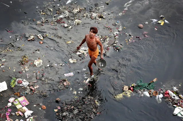 A man sifts through rubbish in the Yamuna river in Delhi, India, October 31, 2017. (Photo by Cathal McNaughton/Reuters)