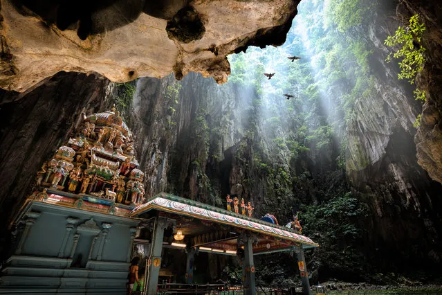 “The Batu caves are on the outskirts of Kuala Lumpur, Malaysia. The main temple of Murugan is a Hindu shrine that sits in the centre of the caves, 100m and a steep 272-step journey above ground. In the caves, monkeys and backpackers jostle for position and birds fly overhead”. (Photo by Mathew Browne/The Guardian)