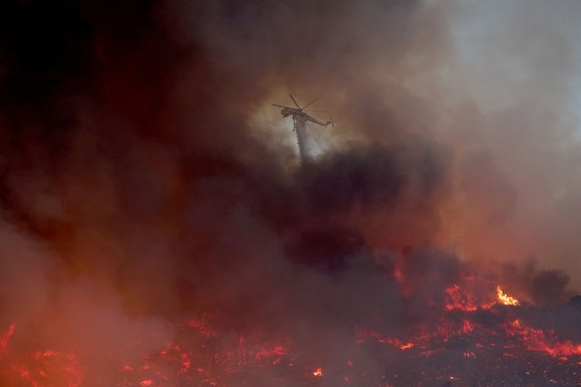 A helicopter does a water drop on the Canyon Fire in Castaic, California, 07 August 2025. The Canyon Fire near Lake Piru, a reservoir about 60 miles northwest of downtown LA, has forced thousands to evacute and has grown to more than 1,000 acres according to Cal Fire. (Photo by Allison Dinner/EPA)