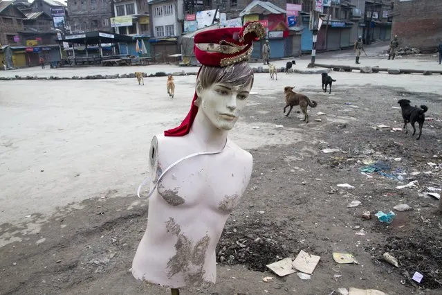 Stray dogs roam a deserted street with a mannequin erected by the side of a road during restrictions in Srinagar, Indian controlled Kashmir, Friday, November 6, 2015. Authorities imposed curfew in some parts of Himalayan Kashmir on Friday as government forces swept through the disputed region to stop anti-India protests ahead of the Indian prime minister's visit. (Photo by Dar Yasin/AP Photo)