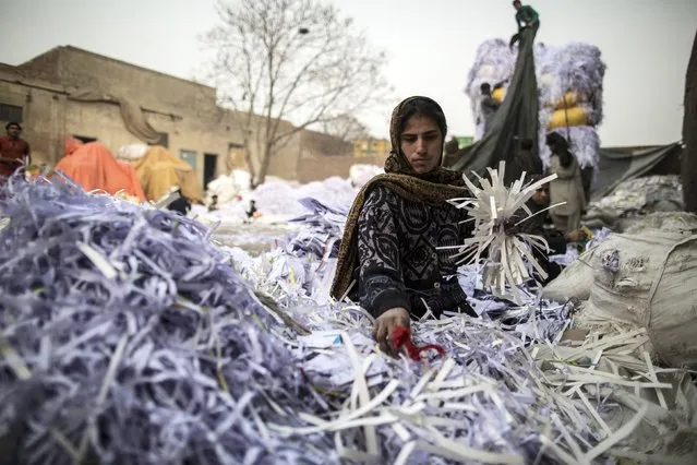 A woman sorts papers before they are taken to a factory to be recycled in Lahore January 12, 2015. (Photo by Zohra Bensemra/Reuters)