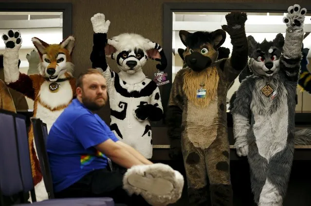 Attendees wearing "fursuit" costumes raise their hands to answer a question during a lecture at the Midwest FurFest in the Chicago suburb of Rosemont, Illinois, United States, December 4, 2015. (Photo by Jim Young/Reuters)