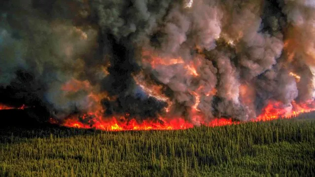 Smoke billows upwards from a planned ignition by firefighters tackling the Donnie Creek Complex wildfire south of Fort Nelson, British Columbia, Canada on June 3, 2023. (Photo by B.C. Wildfire Service/Handout via Reuters)