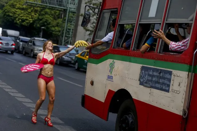 An animal rights activist from People for the Ethical Treatment of Animals (PETA) hands out bananas to a bus driver at an intersection in Bangkok, Thailand, 12 February 2015. (Photo by Diego Azubel/EPA)