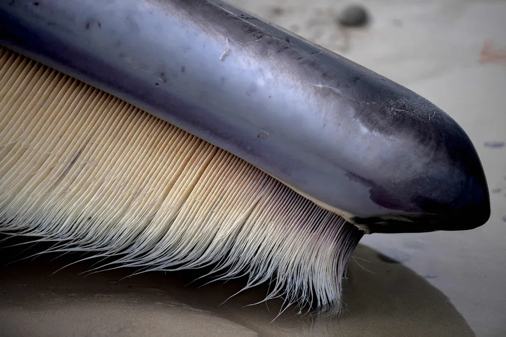 Pictures of the Year 2022, Part 111-1/163