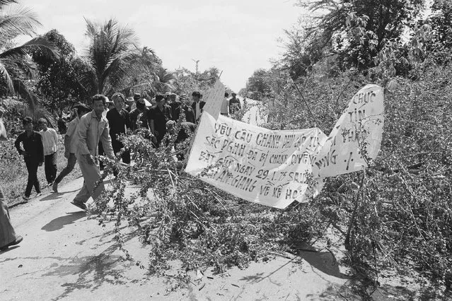 Members of the Hoa Hao Buddhist sect block a road near Phong Phu, South Vietnam, about 90 miles southwest of Saigon, with tree branches, Saturday, Feb. 1, 1975. They were protesting a government order to disband the sect's private army and the arrest of two of their leaders. (Photo by AP Photo)