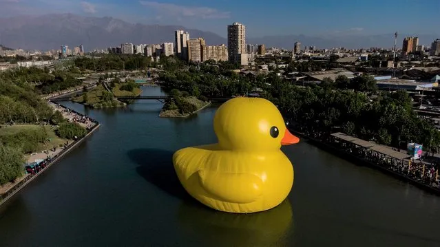 Aerial view of a  giant inflatable rubber duck designed by Dutch artist Florentijn Hofman  n a lake at the family park in Santiago, November 02, 2021. Thousands of people visit the Made at Home festival, where a series of large urban works are exhibited, including a robot made of waste, a wooden troll, two giant fried eggs or the famous rubber duck. (Photo by Martin Bernetti/AFP Photo)