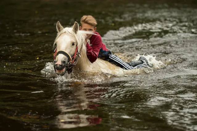 A youth washes a horse in the River Eden on the second day of the annual Appleby Horse Fair, in the town of Appleby-in-Westmorland, north west England on June 7, 2019. The annual event attracts thousands of travellers from across Britain to gather and buy and sell horses. (Photo by Oli Scarff/AFP Photo)