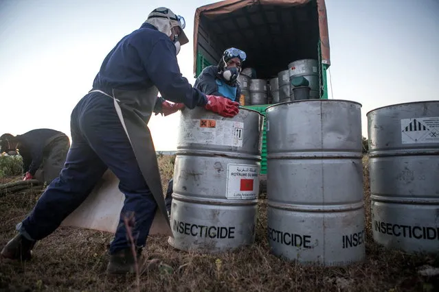 Members of the technical team of the Food and Agriculture Organization of the United Nations (FAO), prepare insecticide for a helicopter equipped for pesticide spreading on May 7, 2014 in Tsiroanomandidy, Madagascar. (Photo by AFP Photo/RIJASOLO)