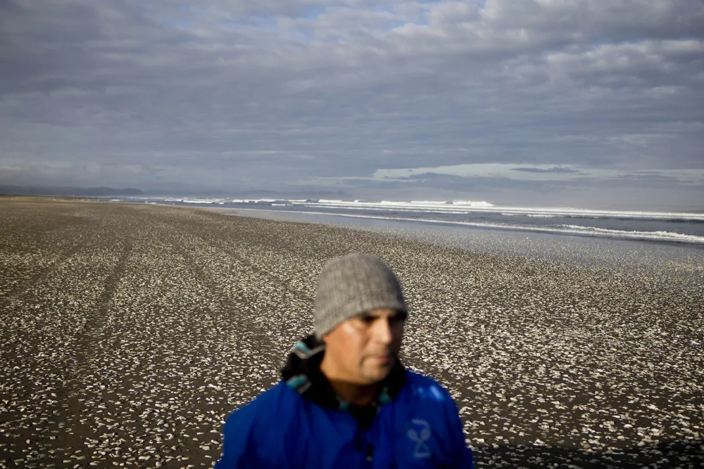 People in the Landscape