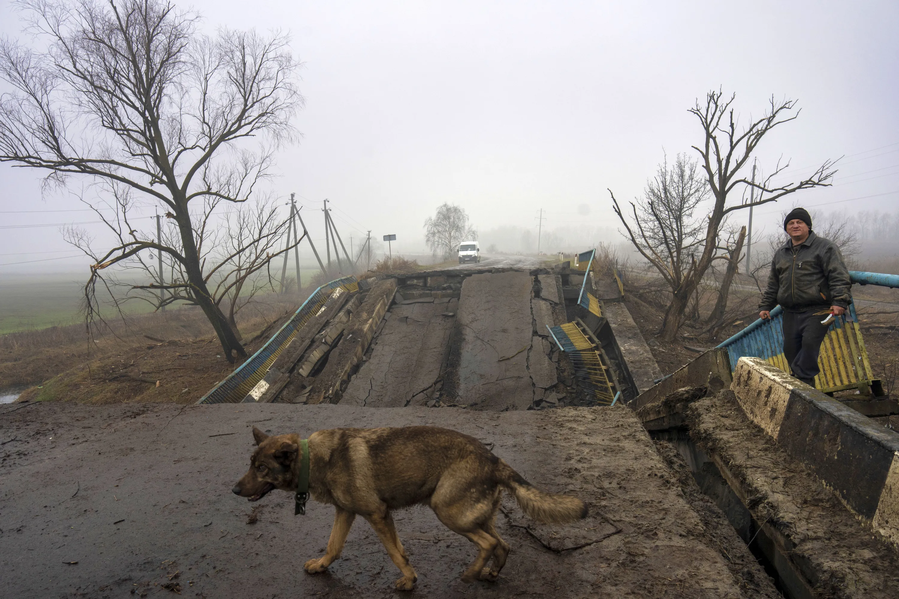 Украина страдает. Животные на войне на Украине. Украинский зверь.