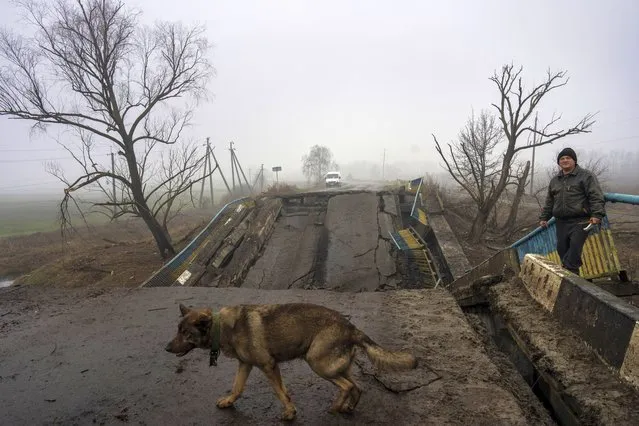 Sasha, 50, waits for his dog Druzhok before crossing a bridge destroyed by the Russian army when it retreated from villages in the outskirts of Kyiv, Ukraine, Friday, April 1, 2022. (Photo by Rodrigo Abd/AP Photo)