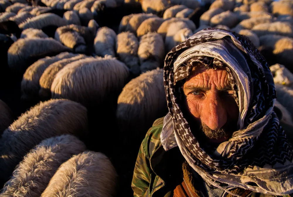 2014 National Geographic Photo Contest, Week 11