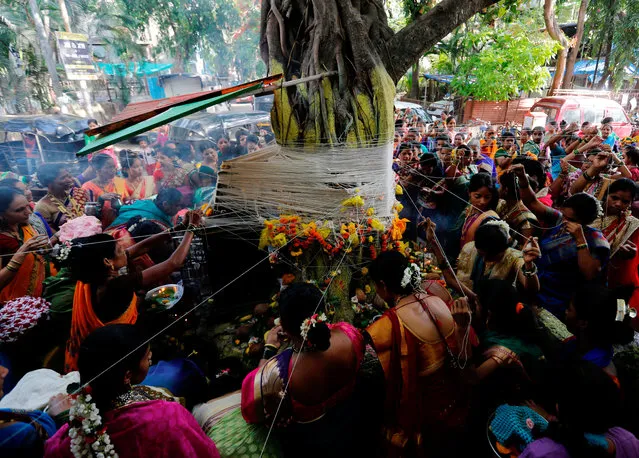 Married Hindu women tie cotton threads around a Banyan tree as they perform rituals on “Vat Savitri festival”, which is celebrated on a full moon day, when married women fast and pray for their husbands' health and longevity, in Mumbai, India, June 8, 2017. (Photo by Danish Siddiqui/Reuters)