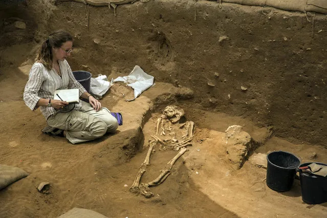 This Tuesday, June 28, 2016 photo shows an archeologist taking notes at an ancient Phillstine cemetery near Ashkelon, Israel. The recent archaeological discovery in Israel may help solve a biblical mystery of where the ancient Philistines came from. A team of archaeologists excavating at the site of the biblical city of Ashkelon have announced it found the first Philistine cemetery ever to be discovered. Now the team is performing DNA, radiocarbon and other tests on bone samples found at the cemetery, dating to the 11th to 8th centuries B.C., to help resolve the debate about the Philistines’ origins. (Photo by Tsafrir Abayov/AP Photo)