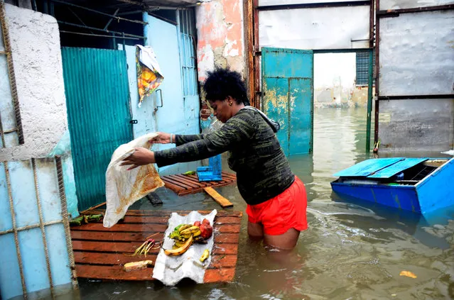 A woman tries to rescue some fodd from her flooded house in downtown Havana, on September 10, 2017. Deadly Hurricane Irma battered central Cuba on Saturday, knocking down power lines, uprooting trees and ripping the roofs off homes as it headed towards Florida. Authorities said they had evacuated more than a million people as a precaution, including about 4,000 in the capital. (Photo by Abel Ernesto/AFP Photo)
