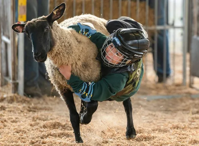 A boy holds onto a sheep during a Muttin Bustin competition in Bloomsburg, US on September 25, 2022. Muttin Bustin is a child under 80pounds tries to stay on a sheep as long as possible. The Bloomsburg Fair started in 1855 and is a largely agricultural fair. Children in 4H show their animals for competition, flowers and vegetables are judged. The Fair features a midway with rides and games as well as a Grandstand which has concerts and a demolition derby. The week long fair is a huge draw and boost for the local economy. (Photo by Aimee Dilger/SOPA Images/Rex Features/Shutterstock)