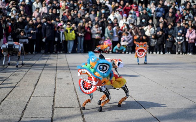 Spectators watch as robot dogs draped in lion costumes perform on the Lantern Festival, which marks the end of the Lunar New Year celebrations, in Jinan, Shandong province, China on February 12, 2025. (Photo by CnsPhoto via Reuters)