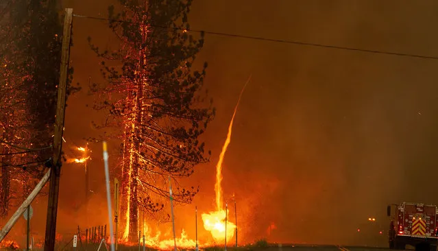 A fire whirl shoots into the sky as flames from the Hog fire jump highway 36 about 5 miles from Susanville, California on July 20, 2020. The fire exploded to more than 6,000 acres and created its own weather, generating lightning, thunder, rain and fire whirls out of a huge pyrocumulonimbus ash plume towering above. The Lassen County Sheriff's office issued a mandatory evacuation order for the area. (Photo by Josh Edelson/AFP Photo)