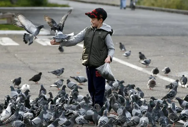 A boy feeds pigeons on an embankment of the Yenisei River in the Siberian town of Divnogorsk near Krasnoyarsk, Russia, September 10, 2015. (Photo by Ilya Naymushin/Reuters)