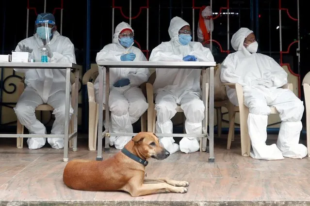 A dog lies down in front of health workers in personal protective equipment (PPE), as they wait for people during a check up campaign for the coronavirus disease (COVID-19) in Mumbai, India, August 15, 2020. (Photo by Francis Mascarenhas/Reuters)