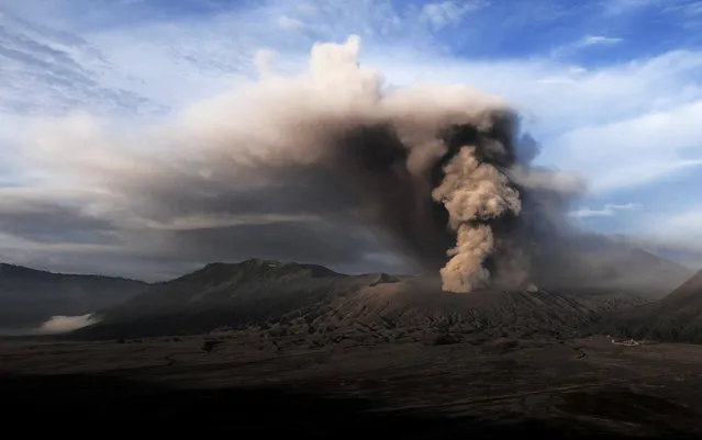 In this photo taken from Probolinggo in Indonesia's East Java province, Mount Bromo spews ashes into the air during a volcanic eruption on July 13, 2016. The volcano spewed a column of ash by up to 1,200 meters into the sky and forced the closing all activities at the nearby Abdurrahman Saleh airport in Malang district, according to local reports stating the national disaster management agency. Bromo lies within Bromo-Tengger-Semeru National Park, a huge caldera containing several volcanoes. (Photo by Bay Ismoyo/AFP Photo)