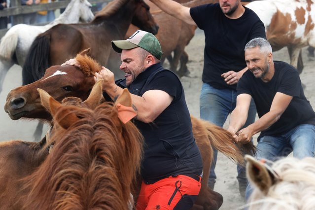 People attend the traditional Rapa das Bestas festival in Cedeira, A Coruna, Spain, 01 June 2025. Annually, wild horses are captured in the hills and brought to a farmyard to be branded and have their manes trimmed during the feast. Thousands of people gather to watch young riders tame the horses without using ropes or sticks. (Photo by Kiko Delgado/EPA/EFE)