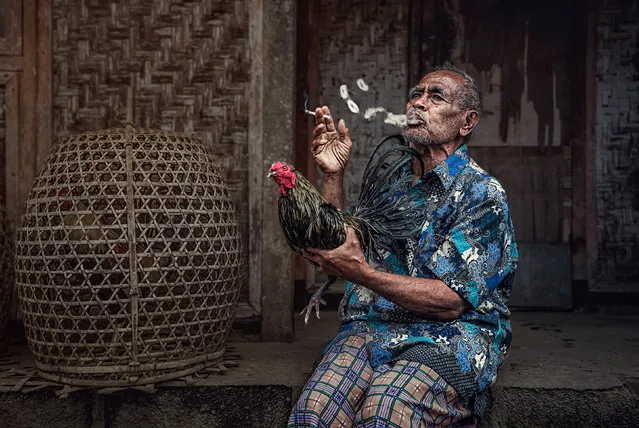 “A Balinese man shows off his pride and joy, a fighting cock, while on a cigarette break after a morning’s work in nearby fields”. (Photo by Coltrane Koh/The Guardian)