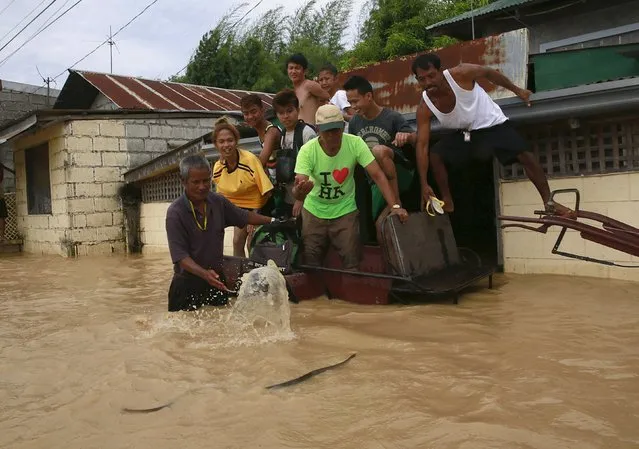 Residents look at a snake swimming in flood waters brought by typhoon Koppu that battered Candaba town, Pampanga province, north of Manila October 20, 2015. (Photo by Romeo Ranoco/Reuters)