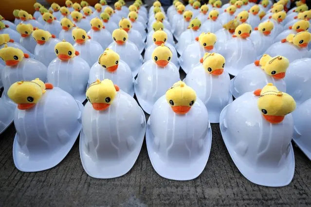 Rows of hard hats designed with yellow ducks, which have become good-humored symbols of resistance during anti-government rallies, are prepared for protest security staff Wednesday, November 25, 2020, in Bangkok Thailand. (Photo by Sakchai Lalit/AP Photo)