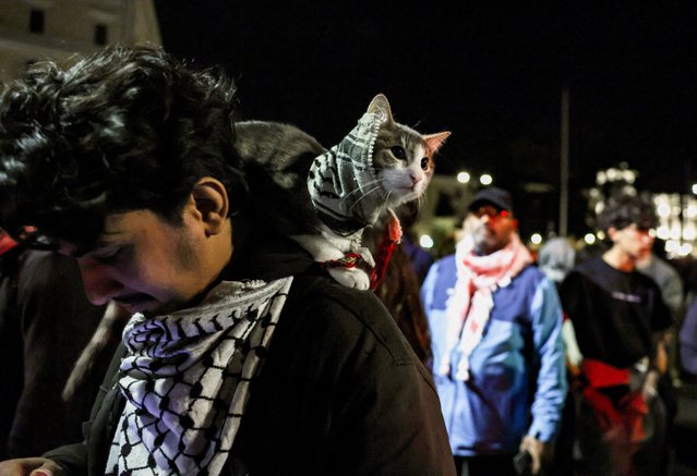 A Pro-Palestinian demonstrator carries a cat during a protest to condemn the interception of the vessels of the Global Sumud Flotilla, in Rome, Italy, on October 2, 2025. (Photo by Yara Nardi/Reuters)