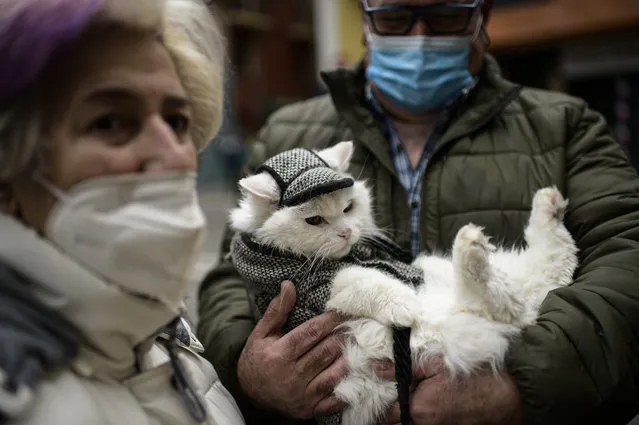 A man wearing a face mask protection to prevent the spread of the coronavirus, holds pet while waiting to be blessing during the feast of St. Anthony, Spain's patron saint of animals, in Pamplona, northern Spain, Sunday, January 17, 2021. The feast is celebrated each year in many parts of Spain and people bring their pets to churches to be blessed. (Photo by Alvaro Barrientos/AP Photo)