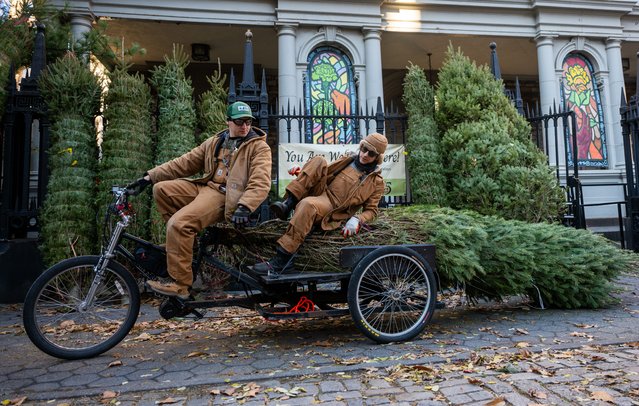 Workers with Tree Riders NYC move a Christmas tree at their location in the East Village in Manhattan on December 03, 2025, in New York City. Every year, hundreds of workers descend onto Manhattan street corners where, for 5 to 6 weeks, they sell trees in an increasingly competitive market. Because of continued tariffs, the cost of an artificial tree is estimated to be 10% to 20% higher than last year, making real trees a potentially cheaper alternative. (Photo by Spencer Platt/Getty Images)
