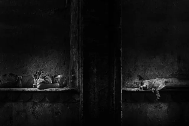 “Sleeping”. In the street of jaipur i saw the dog sleeping & in the other side there is another man sleeping also, this since make me thinking about the same relation in the same place and in the same emotion. Location: Jaipur, India. (Photo and caption by Hesham Alhunaid/National Geographic Traveler Photo Contest)