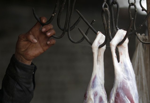 A butcher holds a hook next to hanged goat meats at a slaughterhouse at Dashiwo village, on the outskirts of Beijing January 26, 2015. (Photo by Kim Kyung-Hoon/Reuters)