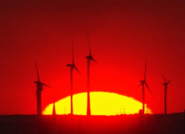 The sun rises behind wind turbines near the Pankow motorway junction, as seen from Drachenberg hill in Berlin, Germany, 11 May 2016. (Photo by Paul Zinken/EPA)