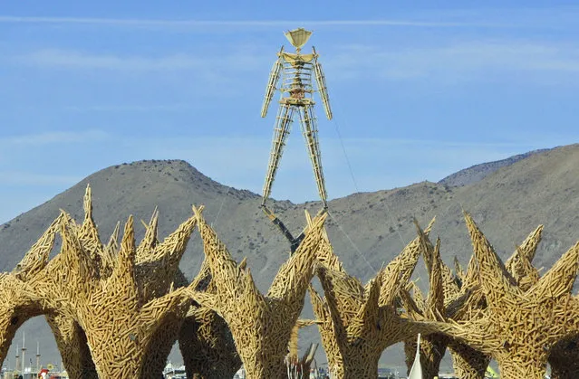 Burning Man 2013