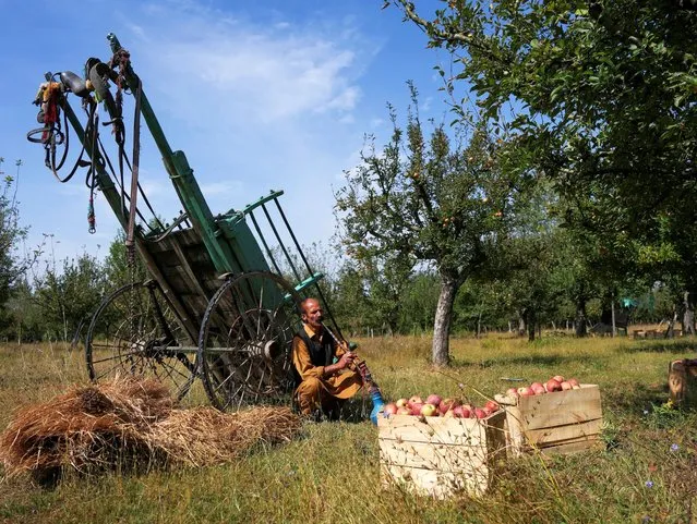 A farmer smokes a traditional hookah as he takes a break at an organic orchard during the harvest season at Sopore in Baramulla district of Kashmir on September 21, 2023. (Photo by Sanna Irshad Mattoo/Reuters)