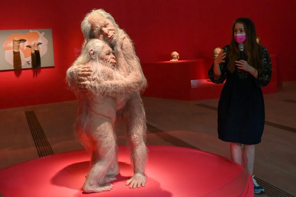 Pictures of the Year 2022, Part 097/163