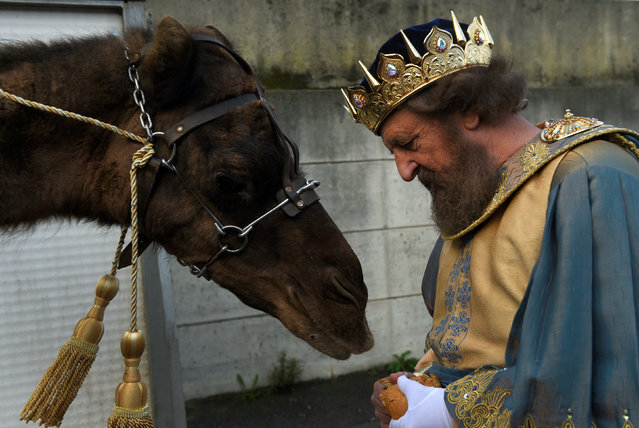 A man dressed as one of the Three Kings gives bread to a camel before the start of the Epiphany parade in Gijon, Spain January 5, 2017. (Photo by Eloy Alonso/Reuters)