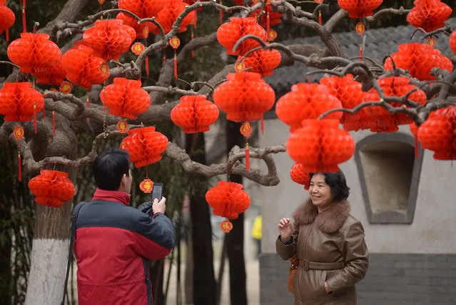 People take photos at a park decorated with colorful decals for the upcoming Lunar New Year in Beijing on January 24, 2014. (Photo by Wang Zhao/AFP Photo)