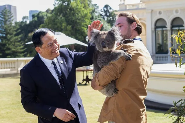 This handout photo taken and released on March 6, 2024 by the ASEAN-Australia Special Summit 2024 shows Laos' Prime Minister Sonexay Siphandone (L) meeting a koala as he arrives at Government House for the Leaders' Retreat during the 50th ASEAN-Australia Special Summit in Melbourne. (Photo by Leigh Henningham/ASEAN-Australia Special Summit 2024/AFP Photo)