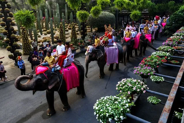 Couples ride elephants during a Valentine's Day celebration, at the Nong Nooch Tropical Garden in Chonburi province, Thailand, on February 14, 2024. (Photo by Athit Perawongmetha/Reuters)