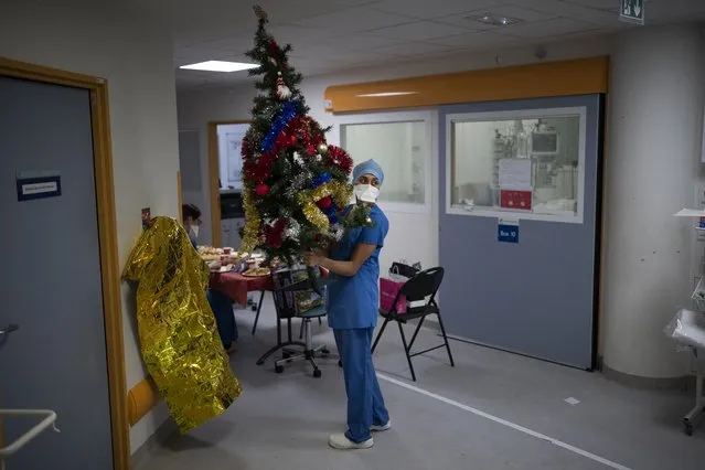 Hospital worker Sonia Mokhtari sets up a Christmas tree for a Christmas Eve meal in the COVID-19 intensive care unit at la Timone hospital in Marseille, southern France, Friday, December 24, 2021. Marseille's La Timone Hospital, one of France's biggest hospitals, has weathered wave after wave of COVID-19. On Christmas Eve, medical personnel decorated a fir tree in the corridor and seized a moment for a communal meal in their scrubs, trying to maintain a semblance of holiday spirit in between rounds. (Photo by Daniel Cole/AP Photo)