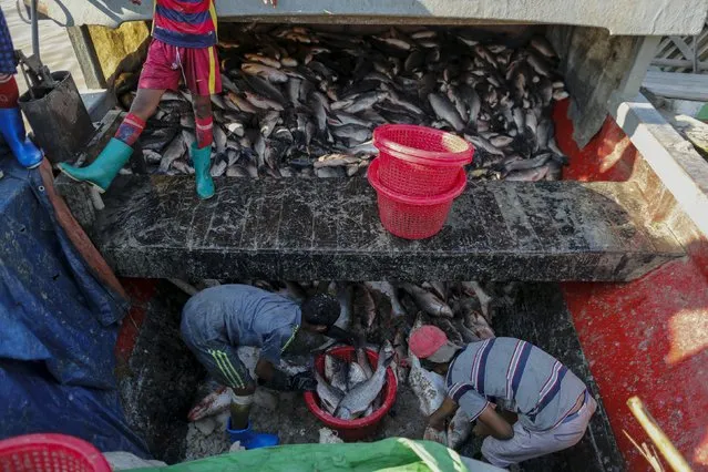 Children unload fish from a boat at San Pya fish market in Yangon, Myanmar February 16, 2016. (Photo by Soe Zeya Tun/Reuters)