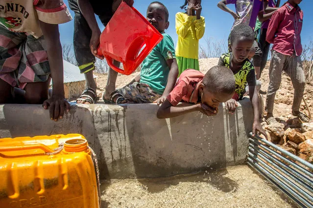 Children drink water delivered by a truck in the drought-stricken Baligubadle village near Hargeisa, the capital city of Somaliland, in this handout picture provided by The International Federation of Red Cross and Red Crescent Societies on March 15, 2017. (Photo by Reuters/The International Federation of Red Cross and Red Crescent Societies)