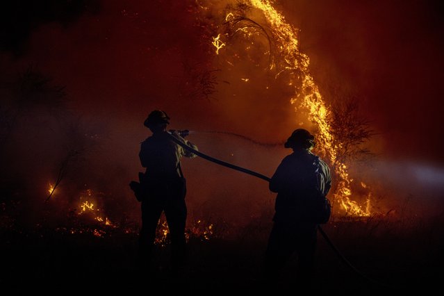 Firefighters with Kenwood Fire Protection District hose a burning hillside while battling the Point Fire in Healdsburg, Calif., Sunday, June 16, 2024. (Photo by Stephen Lam/San Francisco Chronicle via AP Photo)