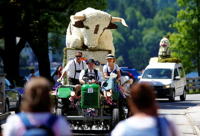 A figure made of daffodil blossoms arrives for a parade during the daffodil festival (Narzissenfest) along Grundlsee lake in Grundlsee, Austria, May 28, 2017. (Photo by Leonhard Foeger/Reuters)