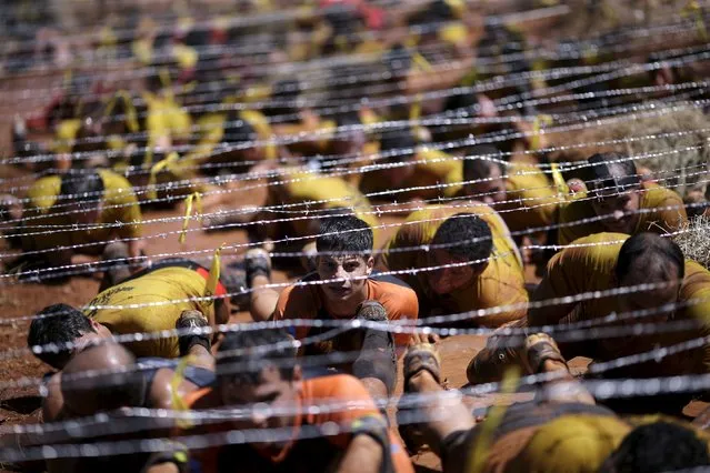 Competitors crawl under barbed wire during the Bravus Race in Brasilia, August 2, 2015. (Photo by Ueslei Marcelino/Reuters)