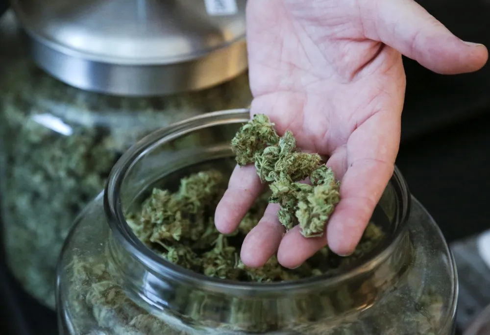 Washington Welcomes Marijuana
